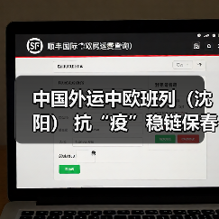中国外运中欧班列(沈阳) 抗“疫”稳链保春耕(图3) 中国外运中欧班列(沈阳) 抗“疫”稳链保春耕(图3)