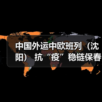 中国外运中欧班列(沈阳) 抗“疫”稳链保春耕(图4) 中国外运中欧班列(沈阳) 抗“疫”稳链保春耕(图4)