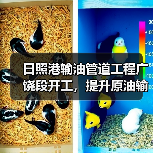 日照港输油管道工程广饶段开工，提升原油输送能力