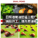 日照港输油管道工程广饶段开工,提升原油输送能力(图4) 日照港输油管道工程广饶段开工,提升原油输送能力(图4)