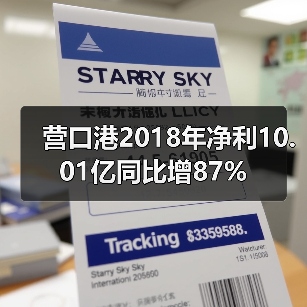 营口港2018年净利10.01亿同比增87%