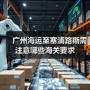 广州海运至塞浦路斯需注意哪些海关要求