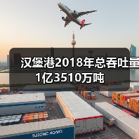 汉堡港2018年总吞吐量1亿3510万吨(图4) 汉堡港2018年总吞吐量1亿3510万吨(图4)